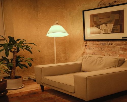 A modern apartment interior showing soft daylight illuminating a reading corner with plants during the rainy season in central Mexico